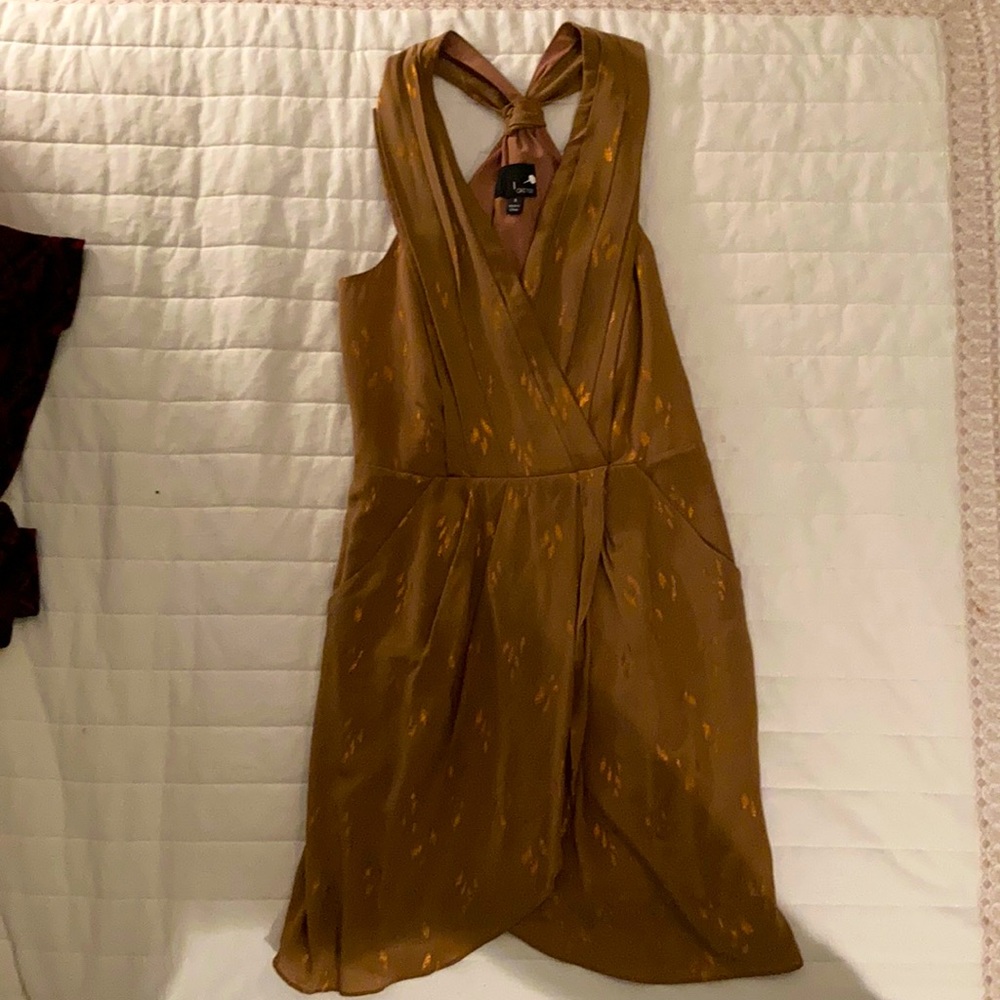 Greylin Silk Dress